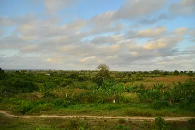 DSC_4337 (Large).JPG